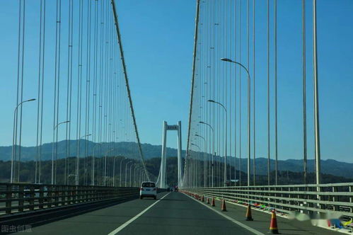 广东这一桥梁工程火了 连接广州中山,总投资150亿三年后完工